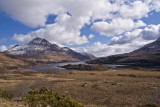 On the Road to Achiltibuie