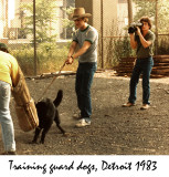 andy.guard.dogs.jpg