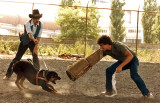 guard.dog.w.jpg