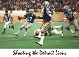 detroit.lions.w.jpg