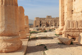 Palmyra 3.jpg