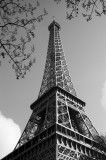 IMGP0904-01w.jpg