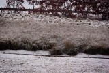 Dusting Of Snow