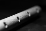 Holey Wooden Dowel Rod, Batman!