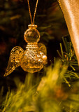 Crystal Angel