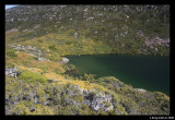 Mackenzie tarn