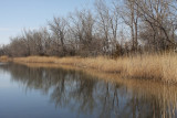 Cozad SWMA