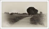 Rural Thailand