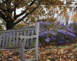 Bench 8