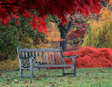 Bench 9