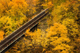 Tram