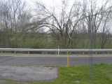 Ice storm damage Paduca KY to Vienna, IL