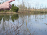 Ed giving the pond the finger