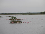 Wild life refuge. Titusville, FL