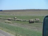 They make hay right up to the road.