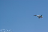 IMG_9890.jpg