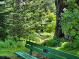 Bench at the lake.