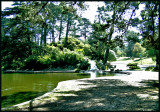 Portals of the Past Lake in Golden Gate Park.jpg