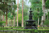 Jardim Botanico, Rio de Janeiro 6251.jpg