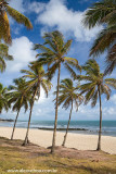 Praia do Amor, Pipa, Tibau do Sul, Rio Grande do Norte 0596.jpg