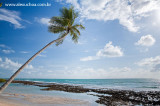 Praia dos Carneiros, Rio Formoso, Pernambuco 9473.jpg