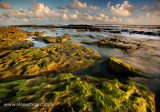 Praia da Caponga, Cascavel, Ceara, 1918, nov09.jpg