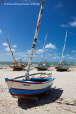 Praia das flexieiras, Ceara, Brazil, 09, 18dez09-22.jpg