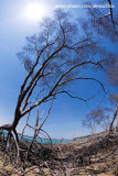 Fortim- CE_4670.jpg