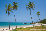 Praia de Tabatinga, Jacum, PB_9049