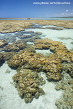 Piscinas naturais da Praia do Toque, So Miguel dos Milagres, AL  9046-2