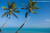 Praia de Ponta Verde, Macei- AL 9875
