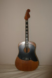 1967 Fender Wildwood II
