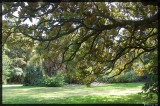 Royal Botanical Garden, Melbourne