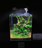 The art of planted aquarium - Hannover / Germany 2010