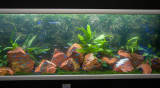 Fisch & Reptil 2007  30.11.-02.12.07