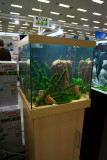 Fisch & Reptil 2007  30.11.-02.12.07