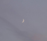 Cresent Moon
