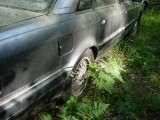 V81 Pass Side.jpg