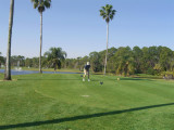 lampkin_palms16th_feb09.jpg
