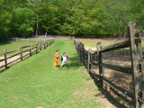 gav_simsbury_farm.jpg