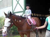 horse_smile.jpg