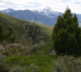 View of Scout Mountain