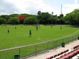 Darwin football