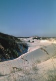 Cumberland Island