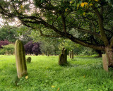 Graveyard Near Hickling Broad, Norfolkshire, England .jpg