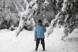 Rothiemurchus forest path