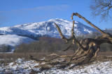 Ben Ledi, Callander