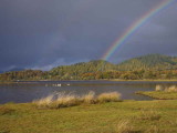 Rainbow over Balmaha Bay, Loch Lomond