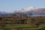 Ben Lomond from Gartocharn (and White-front flock)