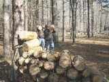 Wood Brothers Building The Pile.jpg